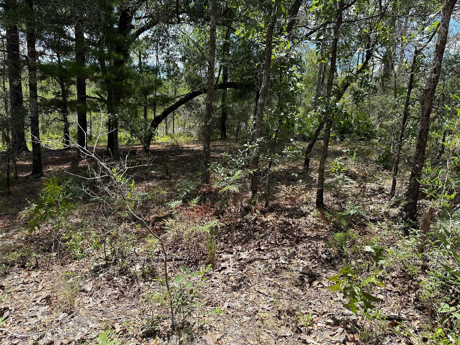 LOT 39 Clearwater Dr Defuniak Springs, FL 32433  | Land/Lot