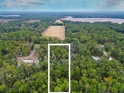 NW Highway 349 Old Town, FL 32680  | Land/Lot