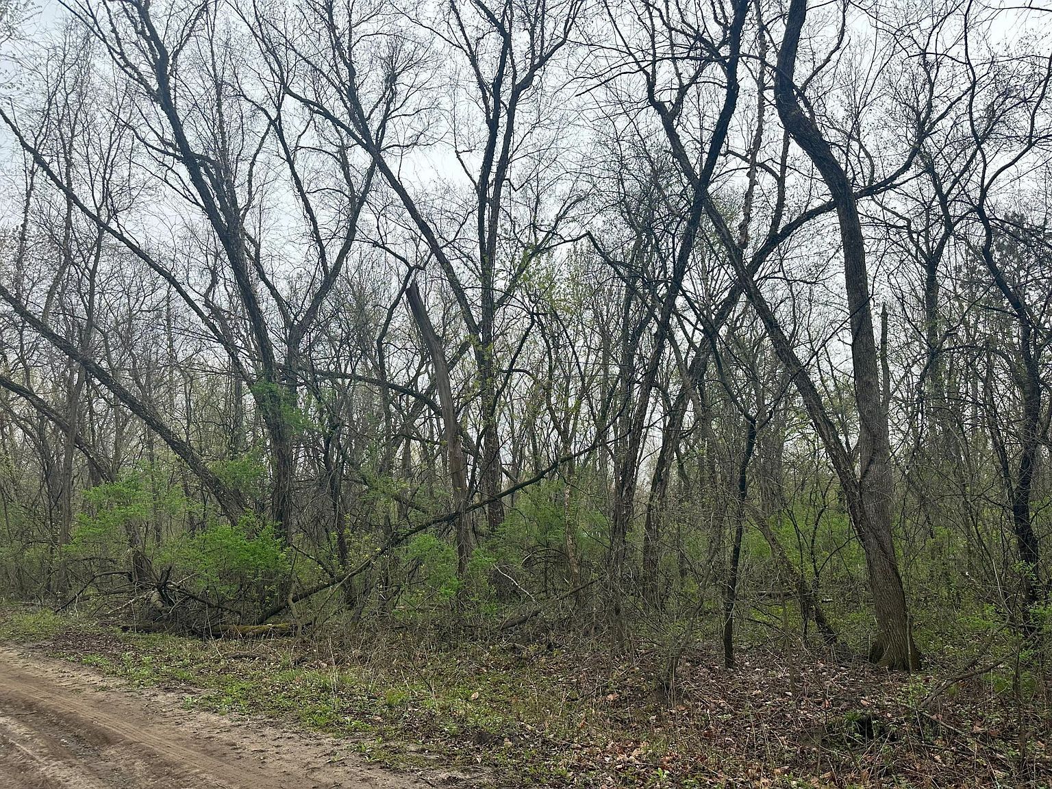 0 Catfish Dr Trempealeau, WI 54661  | Land/Lot