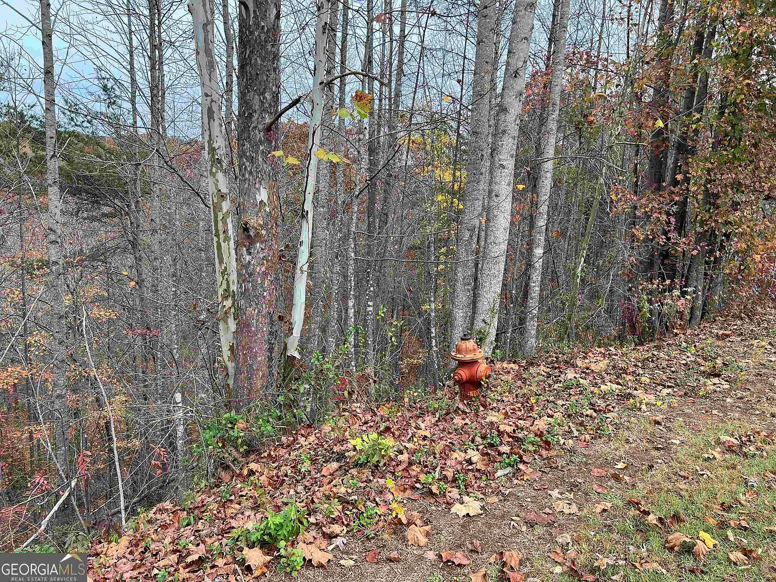 5754-5750 5746 Ridgewater Cir Gainesville, GA 30506 | Land/Lot