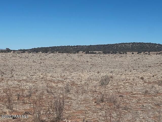 0 NW Double Back Dr Seligman, AZ 86337  | Land/Lot
