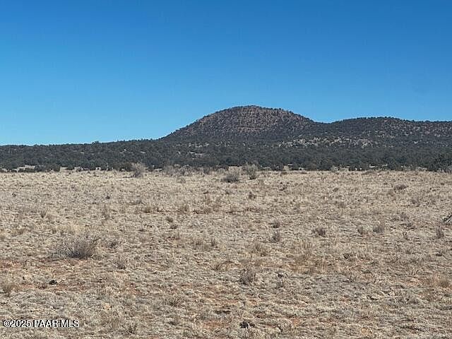 0 NE Double Back Dr Seligman, AZ 86337  | Land/Lot