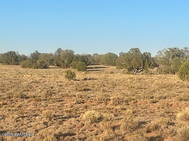 349S E Rocky Top Rd Seligman, AZ 86337  | Land/Lot