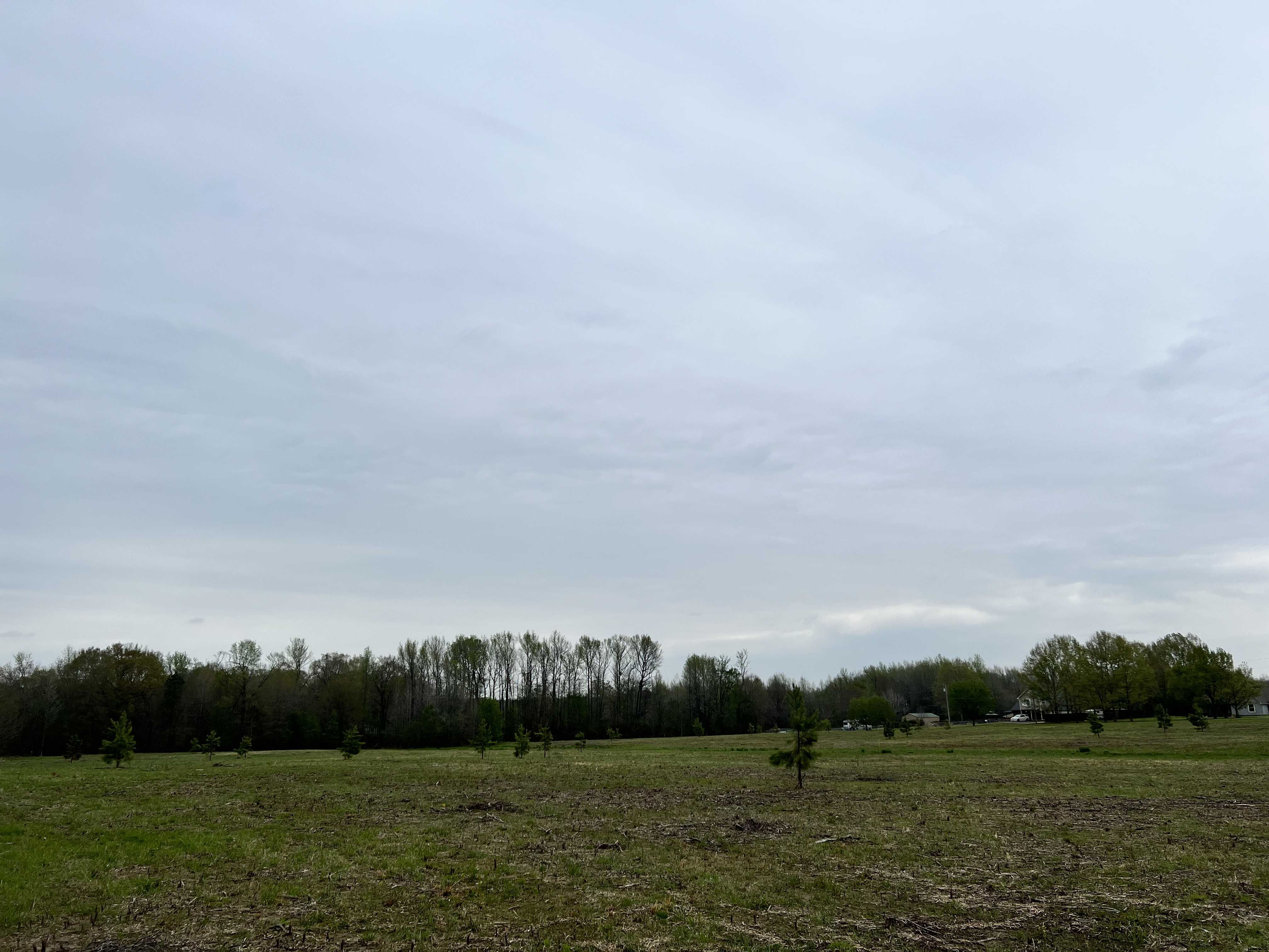 000 Cocklebur Road, Ward, AR, 72176 - Thumbnail 5