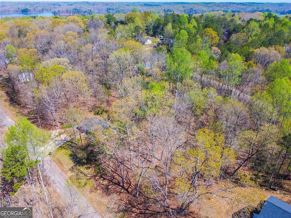 0 Arrow Ln Lavonia, GA 30553  | Land/Lot
