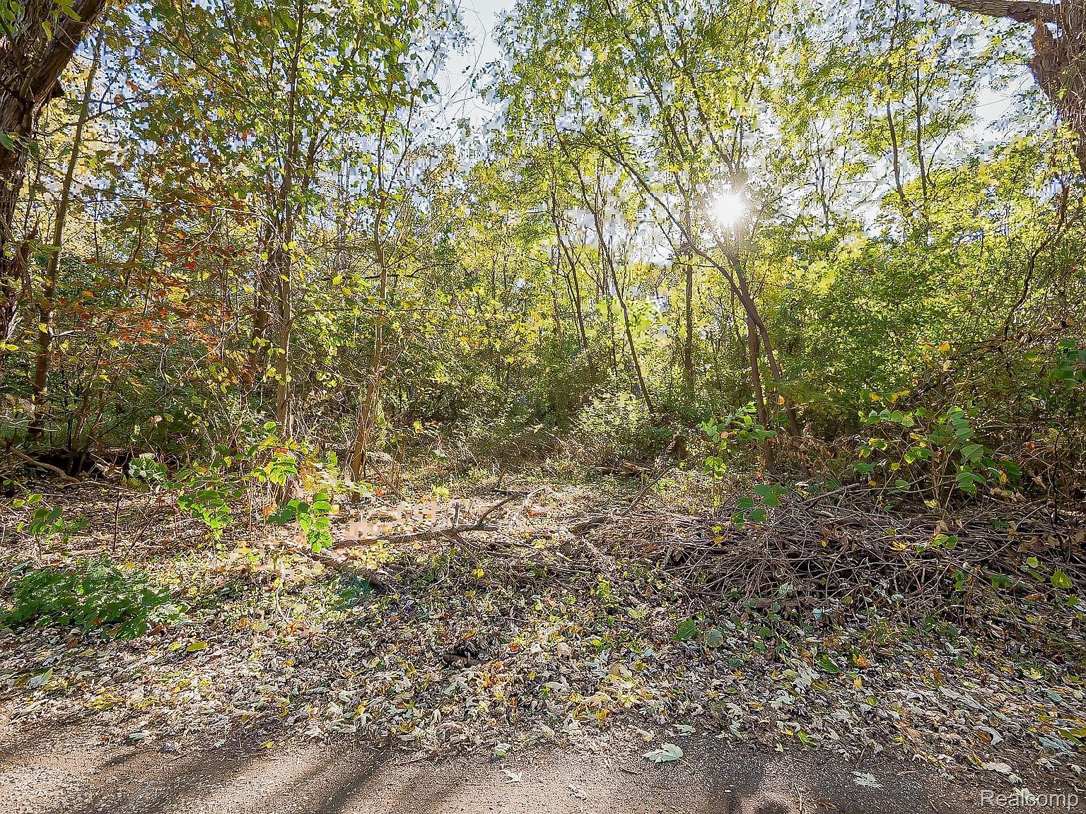 0 Listeria St Commerce Township, MI 48382  | Land/Lot