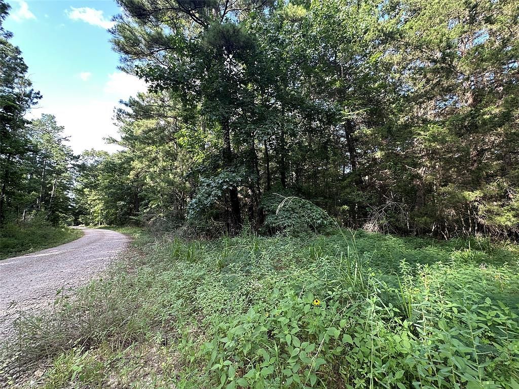 Dickens Loop Livingston, TX 77351 | Single Family