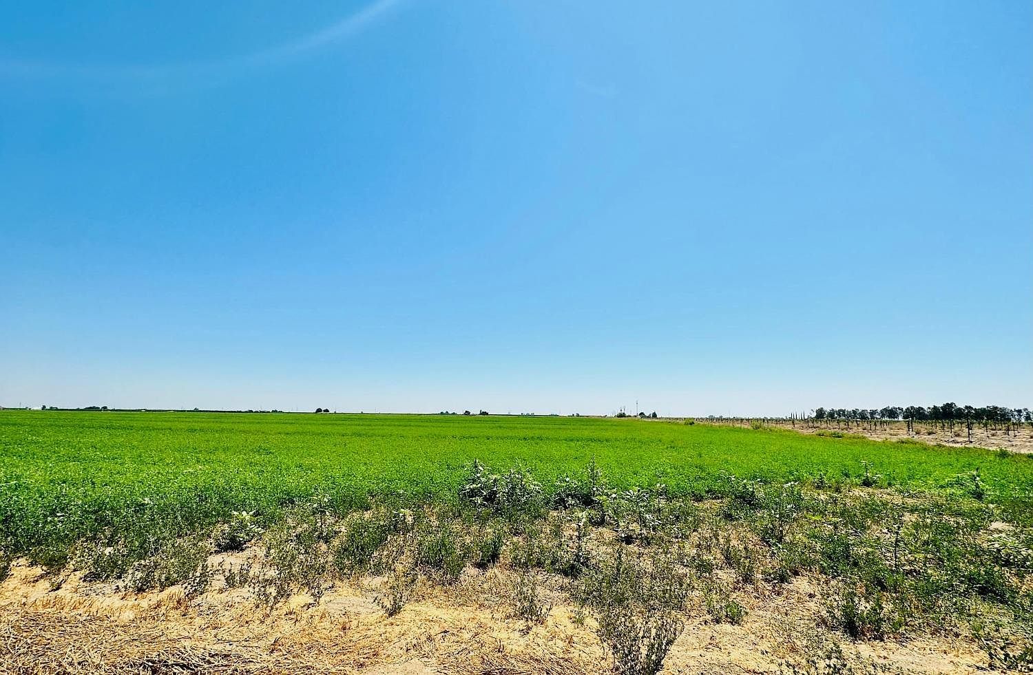 0 S Orchard Way El Nido, CA 95317 | Land/Lot