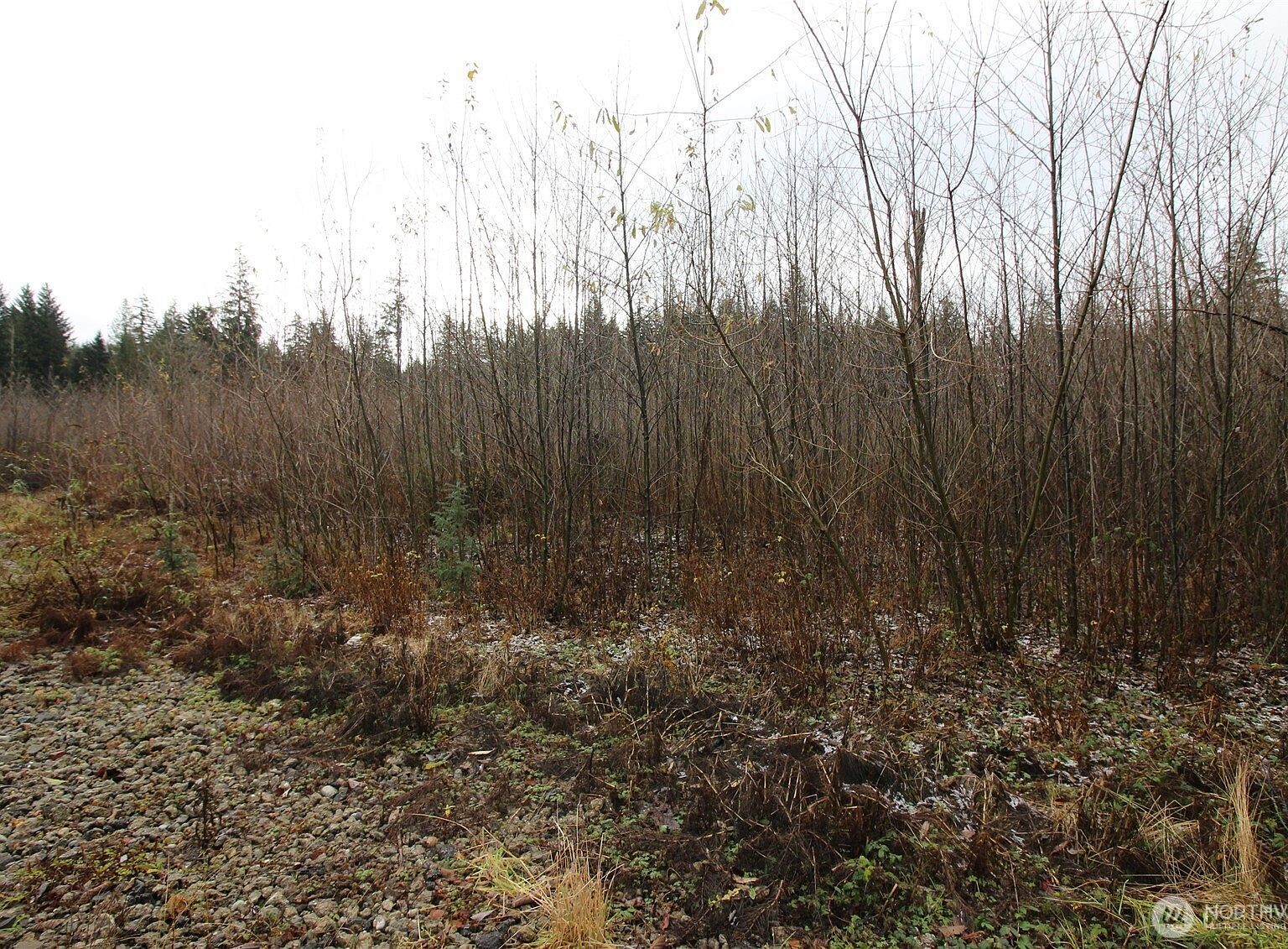 0 364th Ave SE #9039 Maple Valley, WA 98038 | Land/Lot