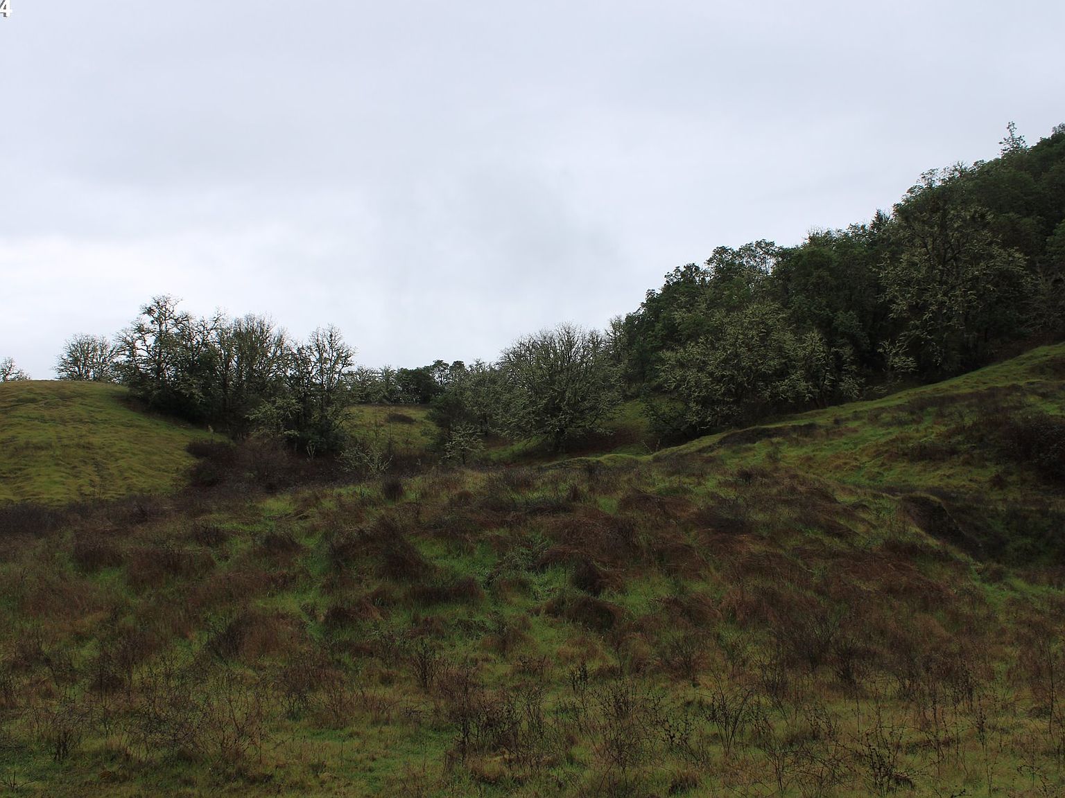 0 Yokum Rd Riddle, OR 97469 | Land/Lot