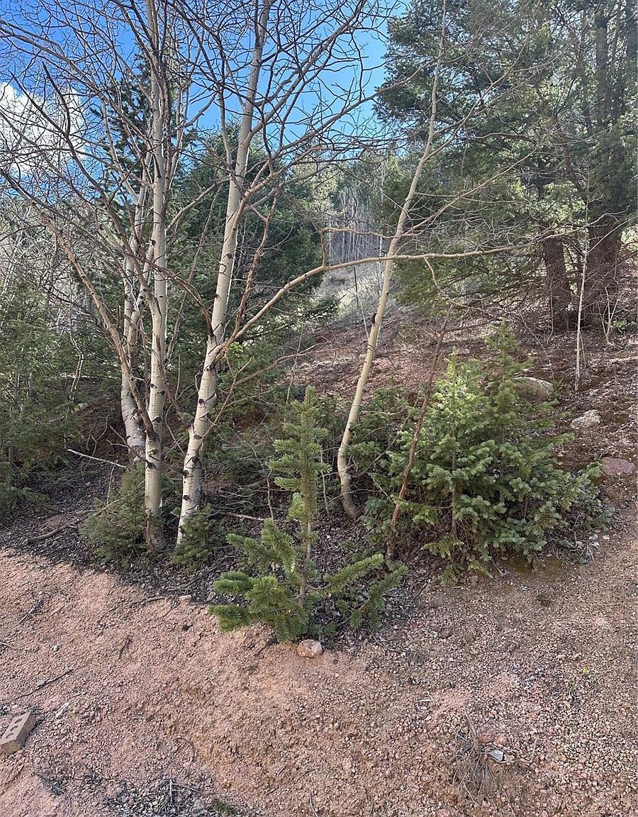 County Road 61 Dr Florissant, CO 80816 | Land/Lot