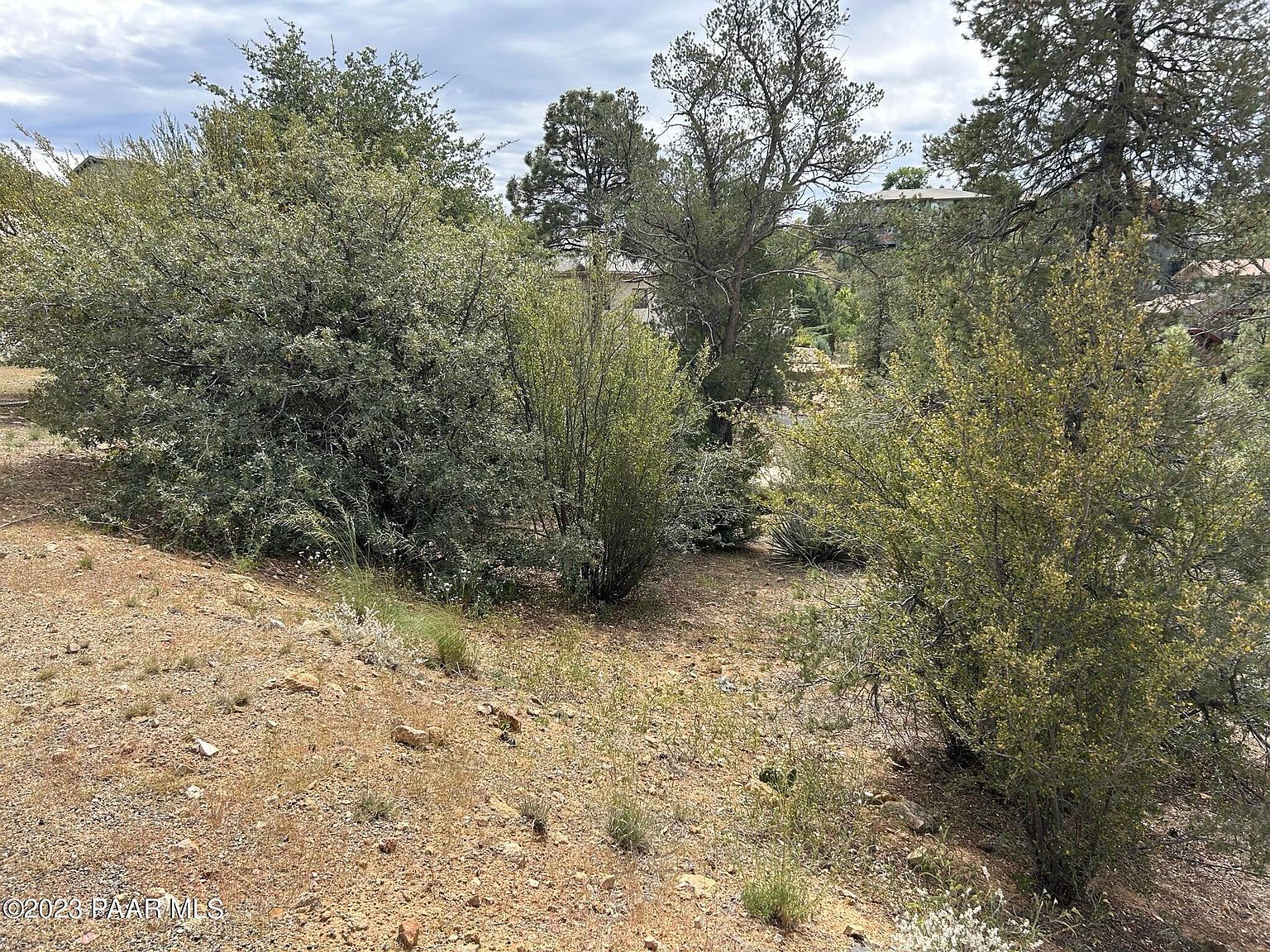 1492 Forest Vw W Prescott, AZ 86305 | Land/Lot