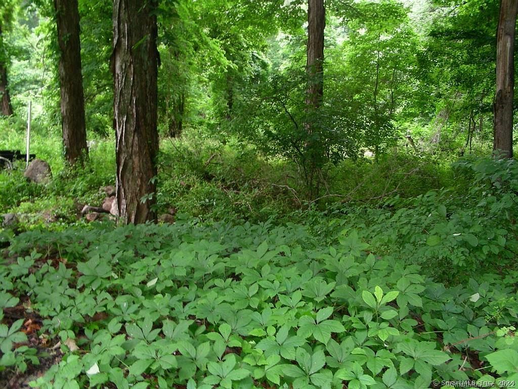 149 Mile Creek Rd Old Lyme, CT 06371  | Single Family