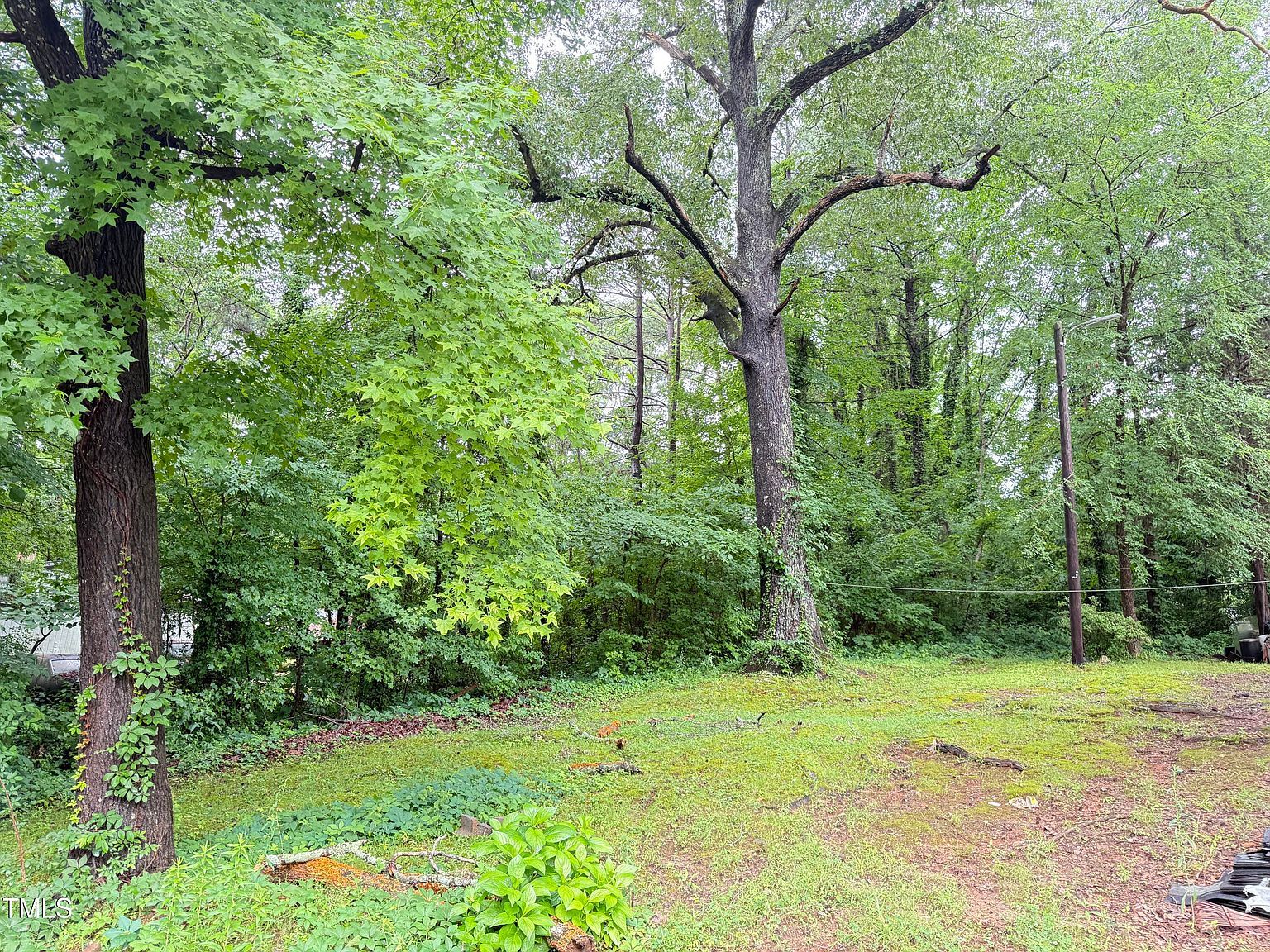 0 Thomas St Henderson, NC 27536  | Land/Lot