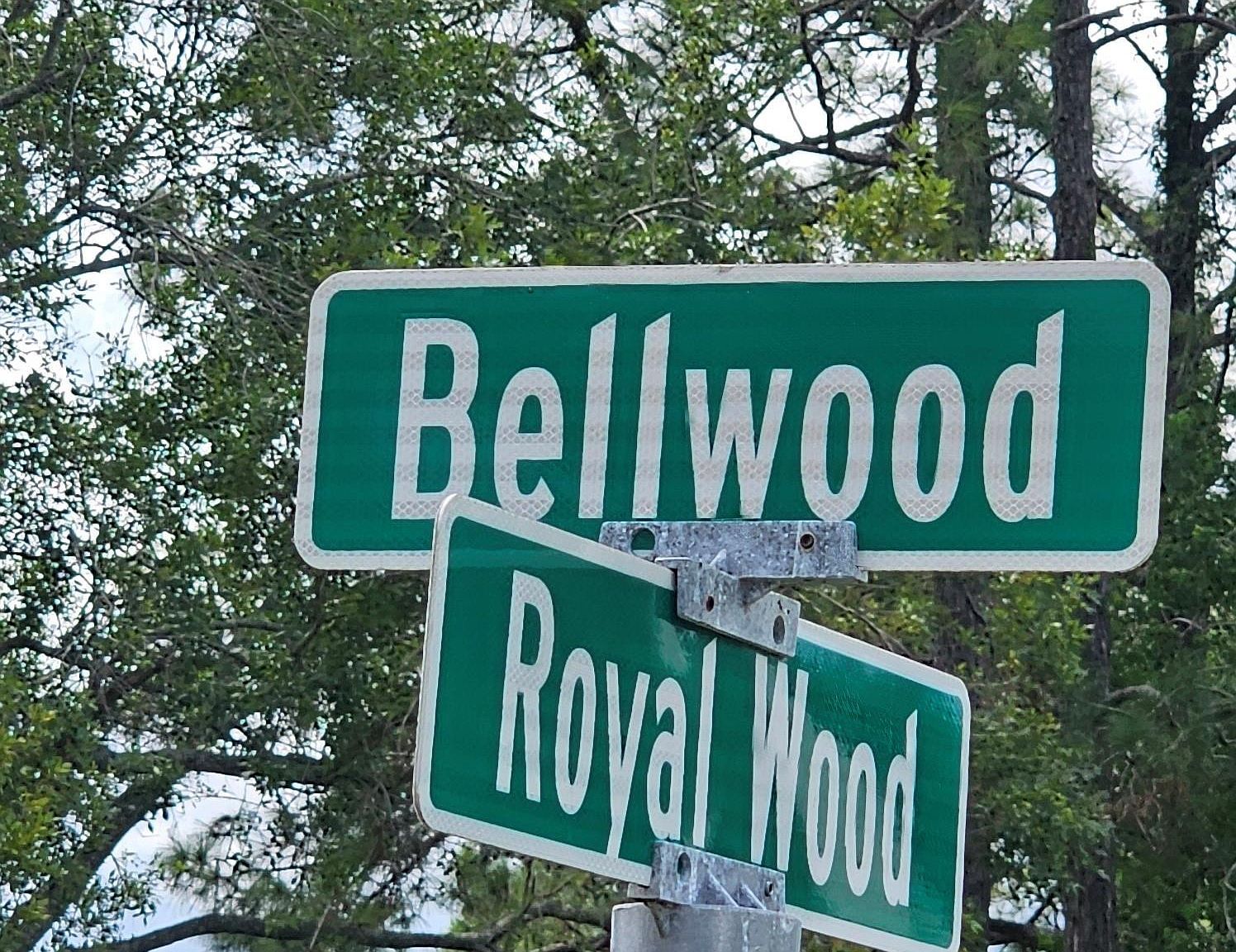 0 Royal Wood St Palacios, TX 77465  | Land/Lot