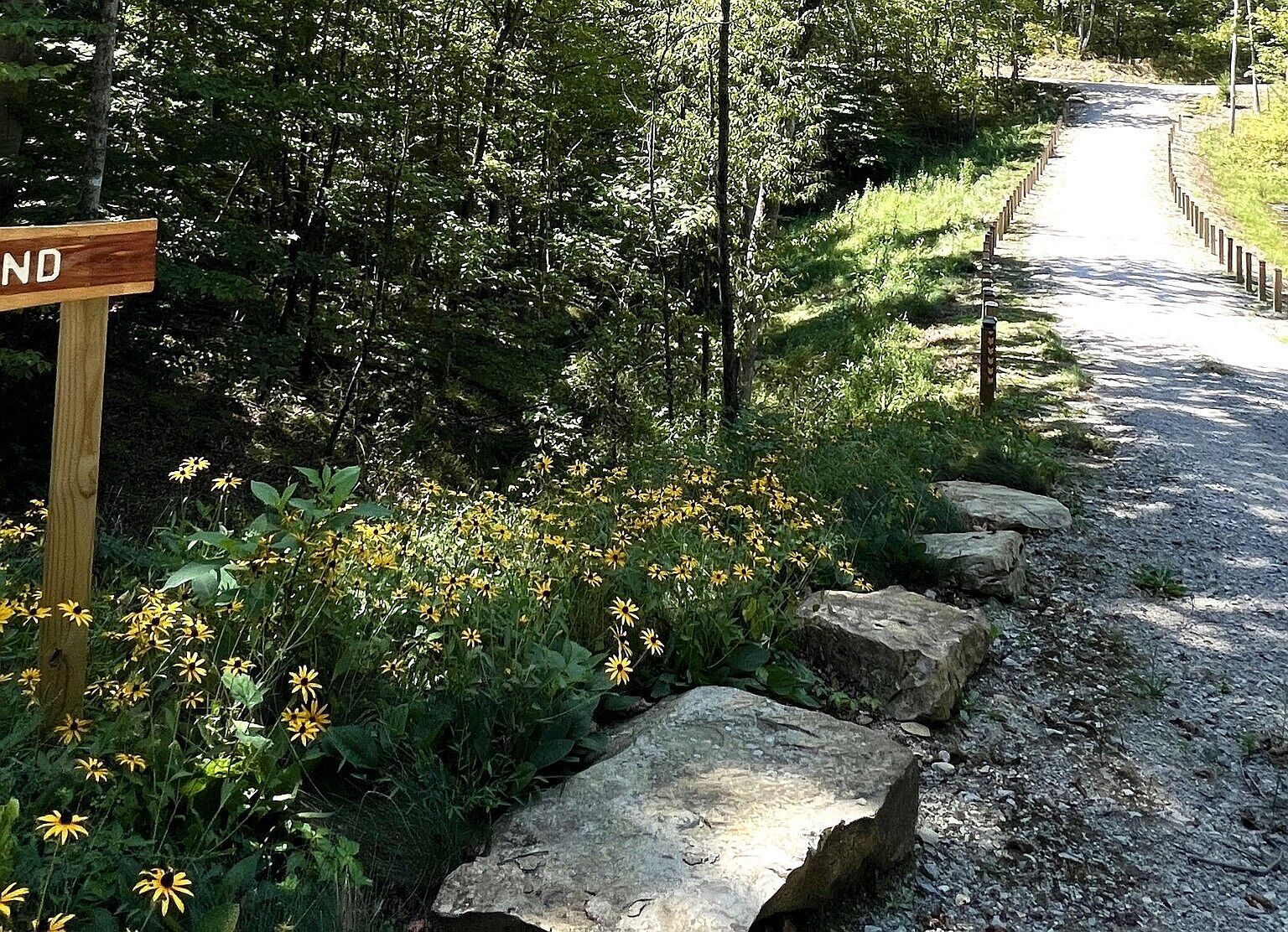 4 Woods Ln Nashville, IN 47448  | Land/Lot