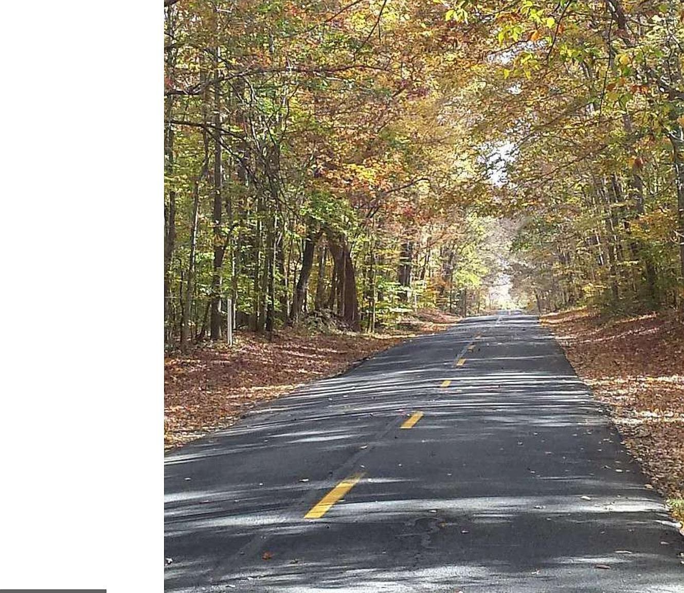 355 Masseys Church Rd Smyrna, DE 19977  | Land/Lot