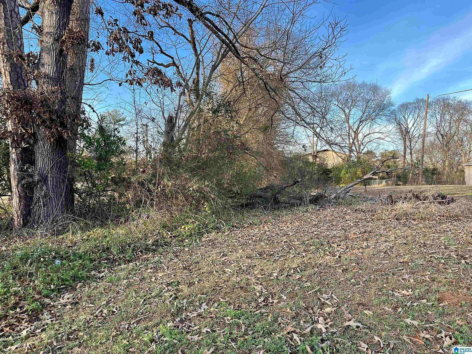 107 Dabbs Ave #107 Bessemer, AL 35023  | Land/Lot