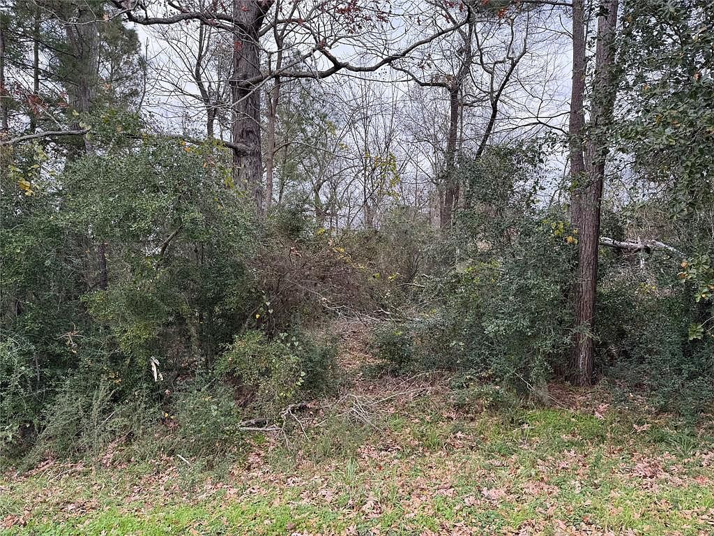 29 & 30 Dove Is Livingston, TX 77351 | Land/Lot