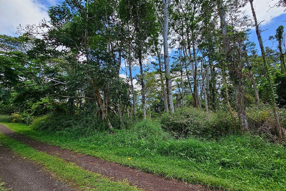 Priscilla Rd Pahoa, HI 96778 | Land/Lot