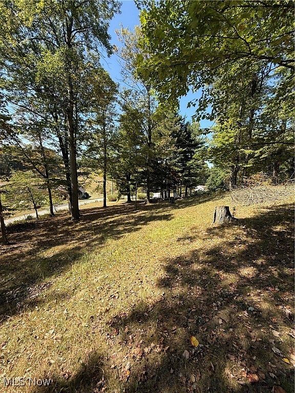 Deer Rd SW Bowerston, OH 44695 | Land/Lot
