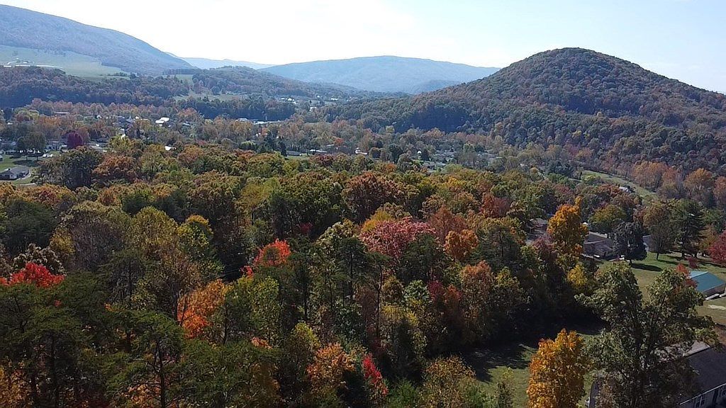 LOT 54 Bee Tree Dr Peterstown, WV 24963 | Land/Lot
