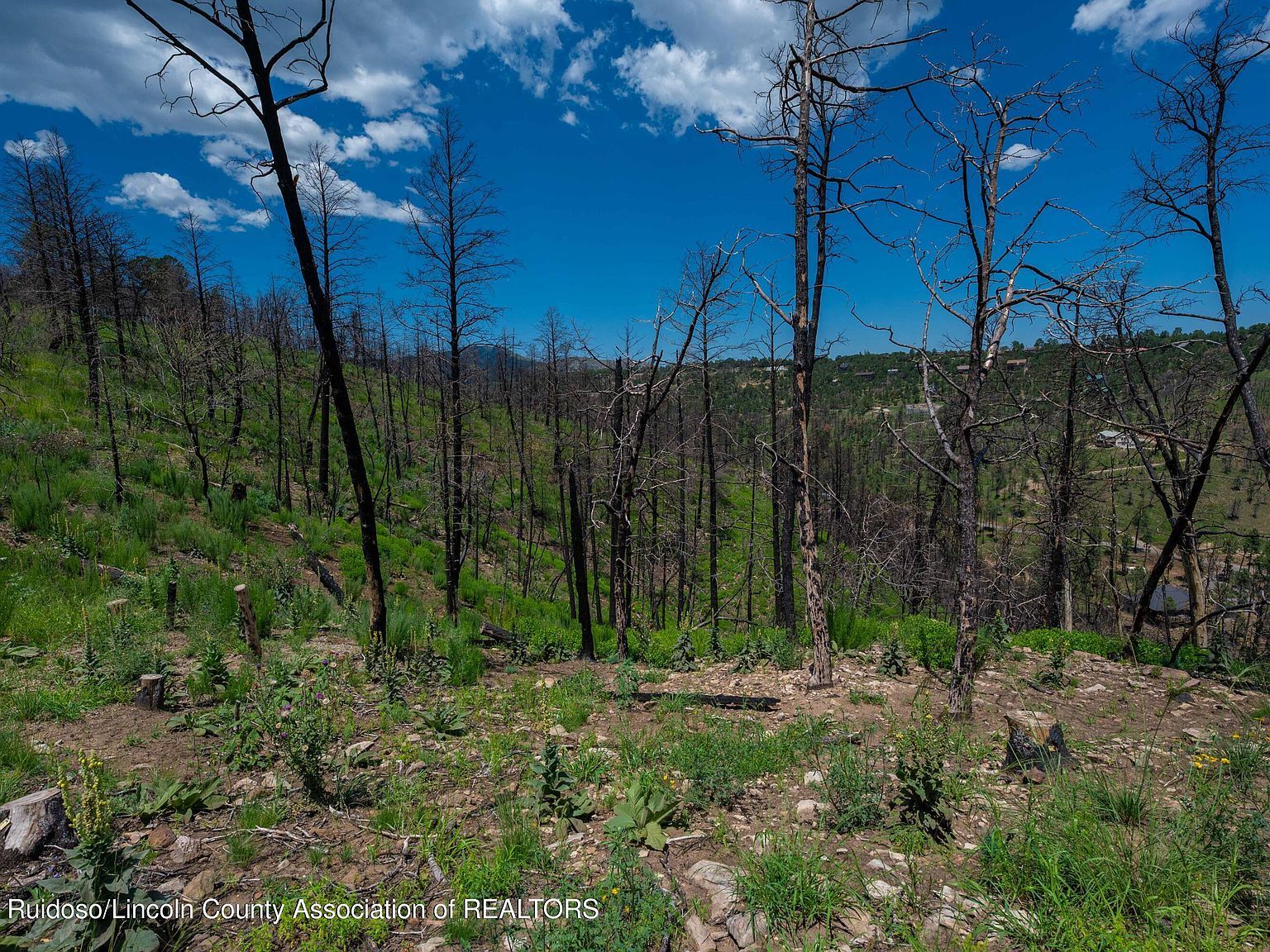 LOT 11 Gavilan Hills Rd Ruidoso, NM 88345 | Land/Lot