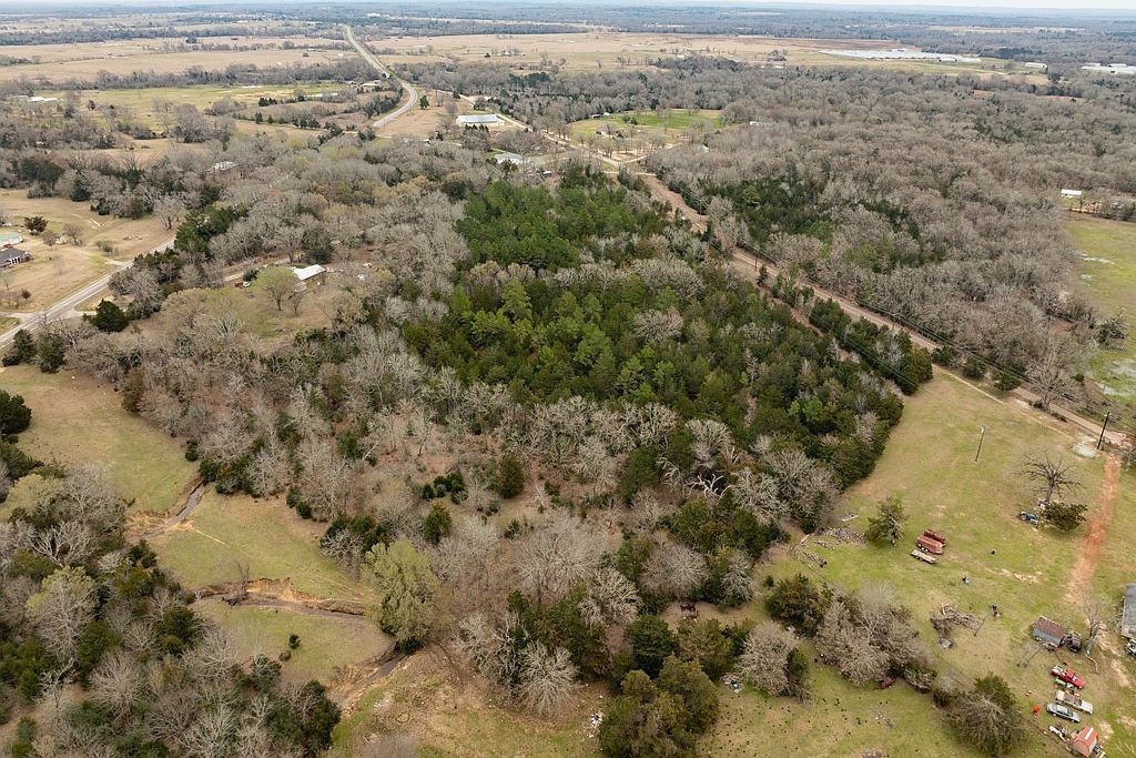 TRACT Three An County Rd #2802 Tennessee Colony, TX 75861  | Land/Lot