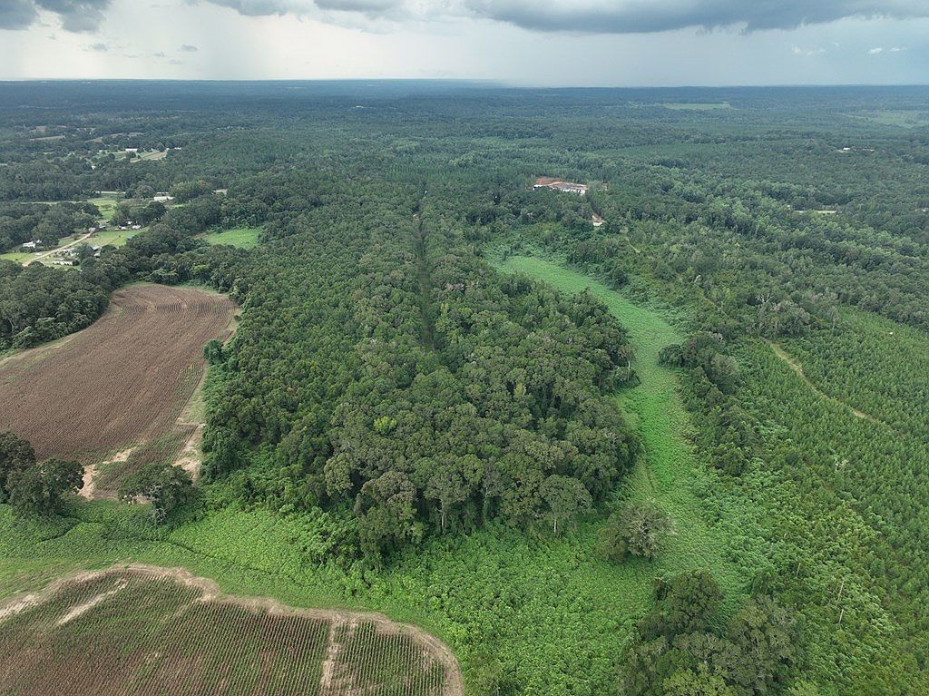 Us Highway 84 Red Level, AL 36474  | Land/Lot