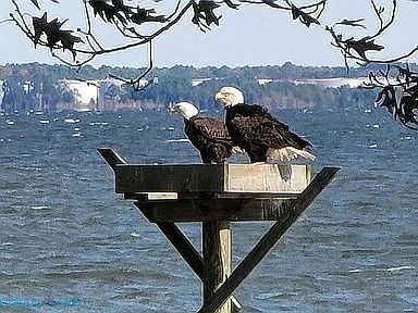 LOT 2A Warner Ln Hague, VA 22469 | Land/Lot