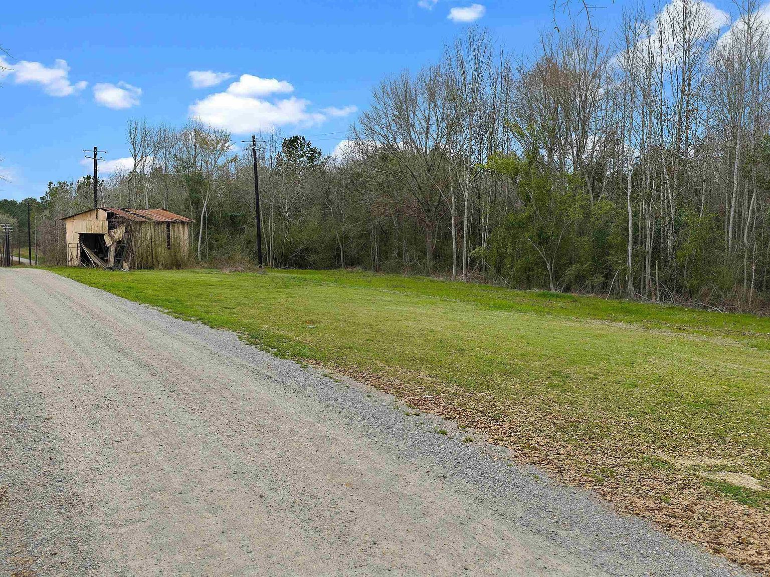 754 Saint Hwy #147 Center, TX 75935  | Land/Lot