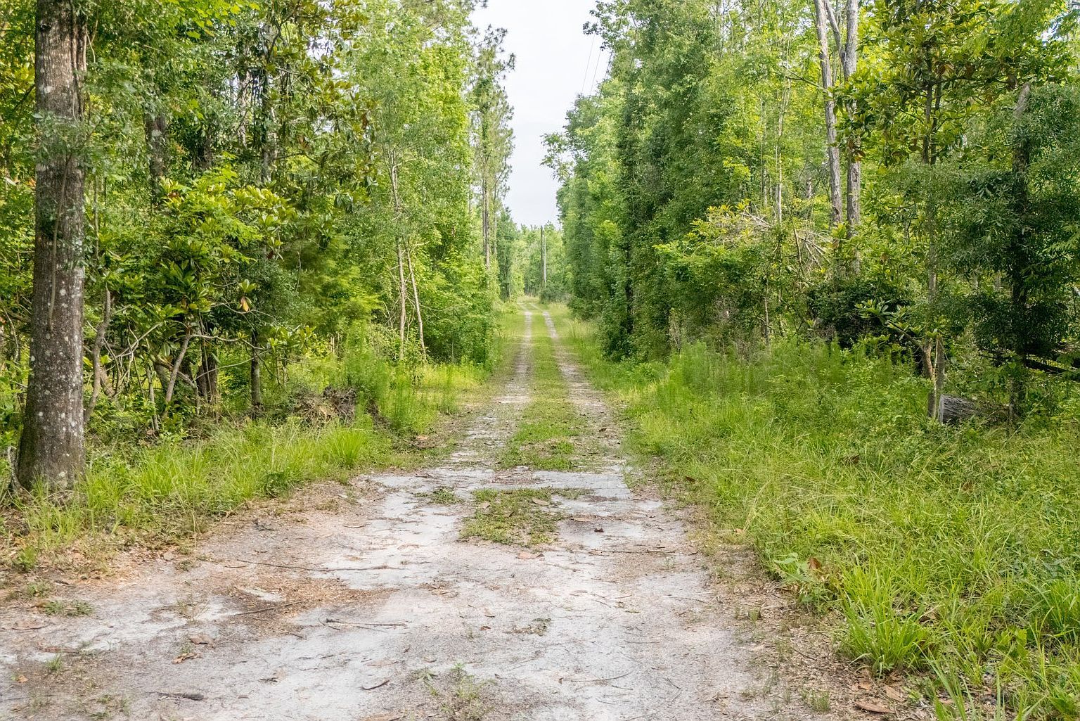 6725 SW 68th Dr Jasper, FL 32052  | Single Family