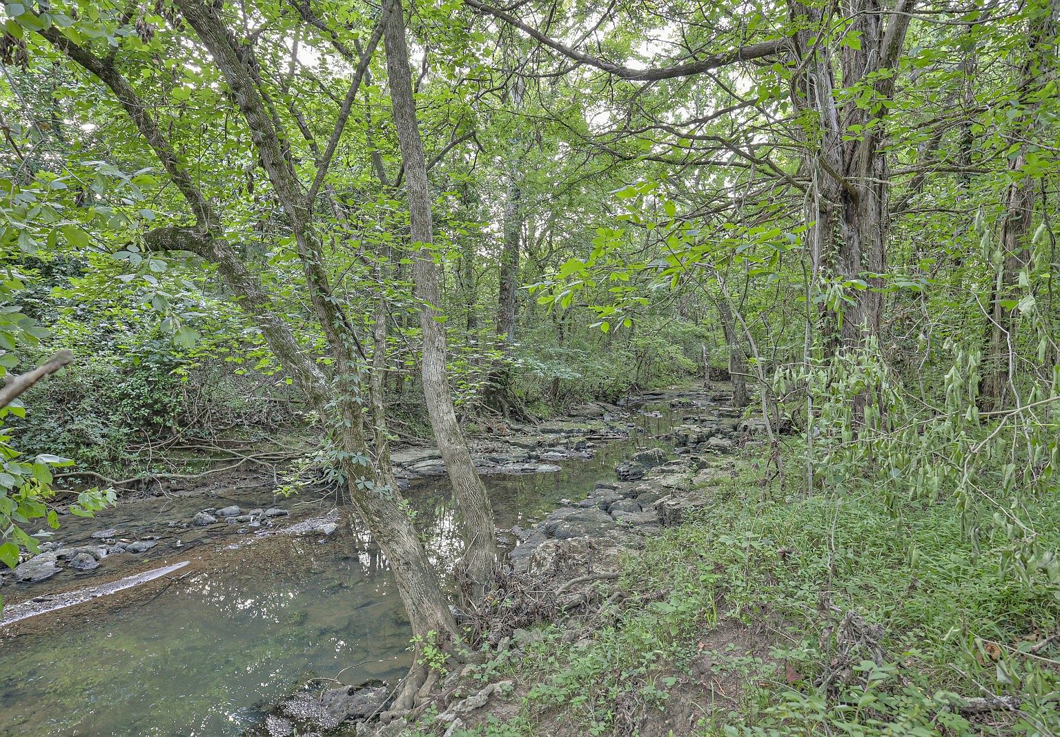 1825 N Lovvorn Rd Christiana, TN 37037 | Single Family