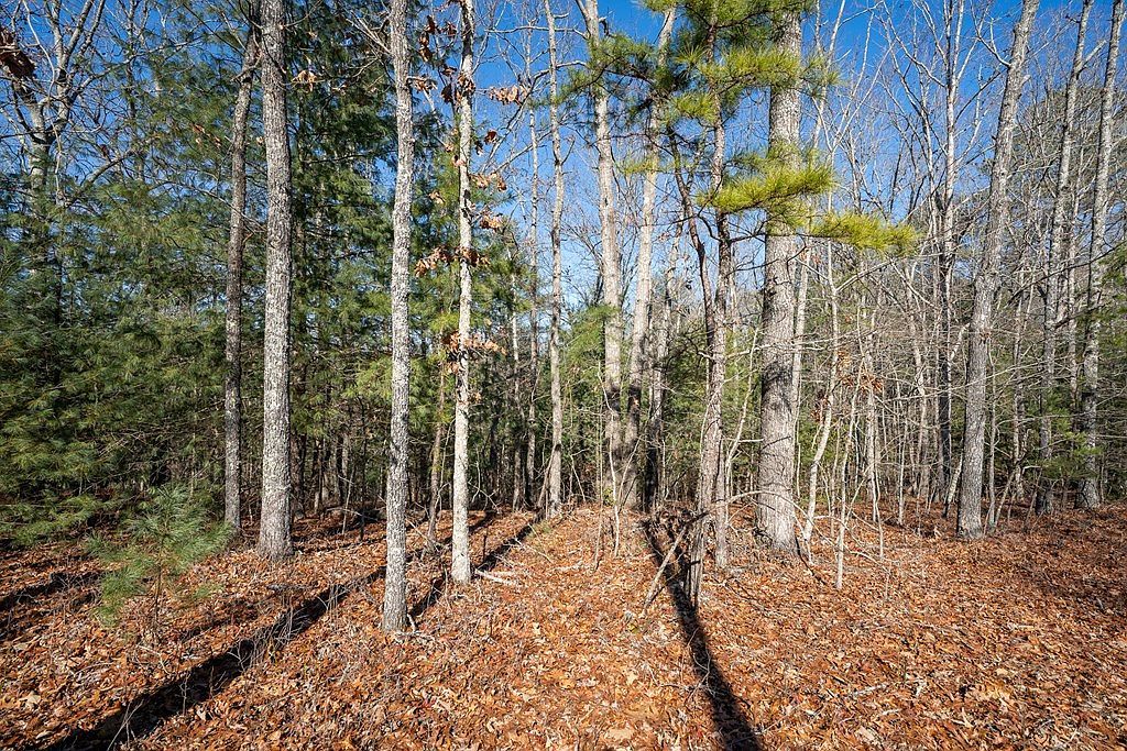 517 Ridge Rd Blue Ridge, GA 30513 | Single Family