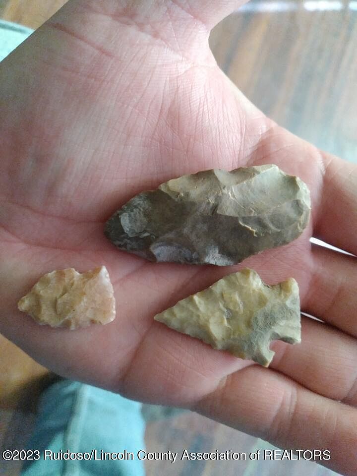 1232 Black River Village Rd Carlsbad, NM 88220  | Land/Lot