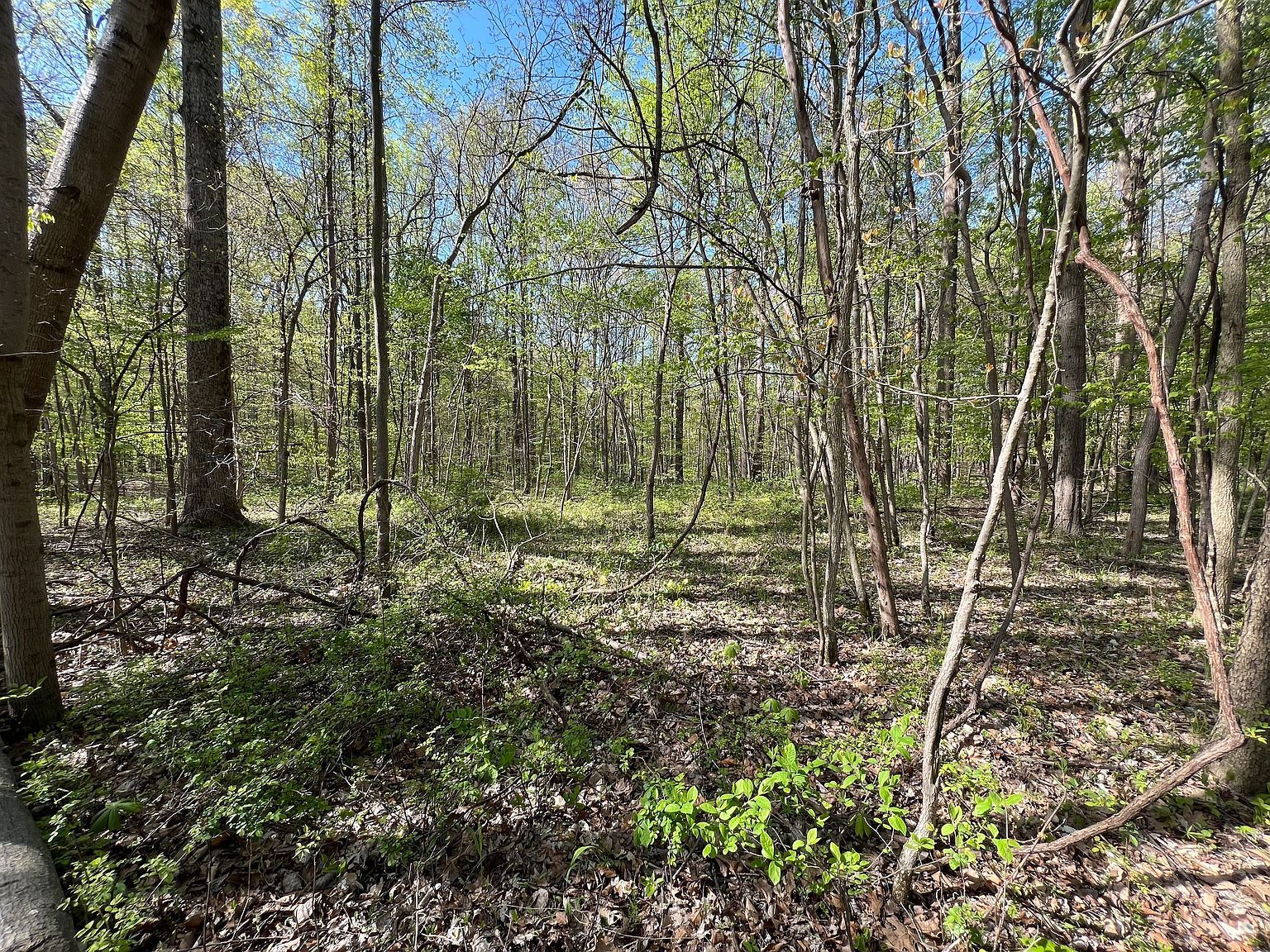 5643 W County Road 525 S Greencastle, IN 46135  | Single Family