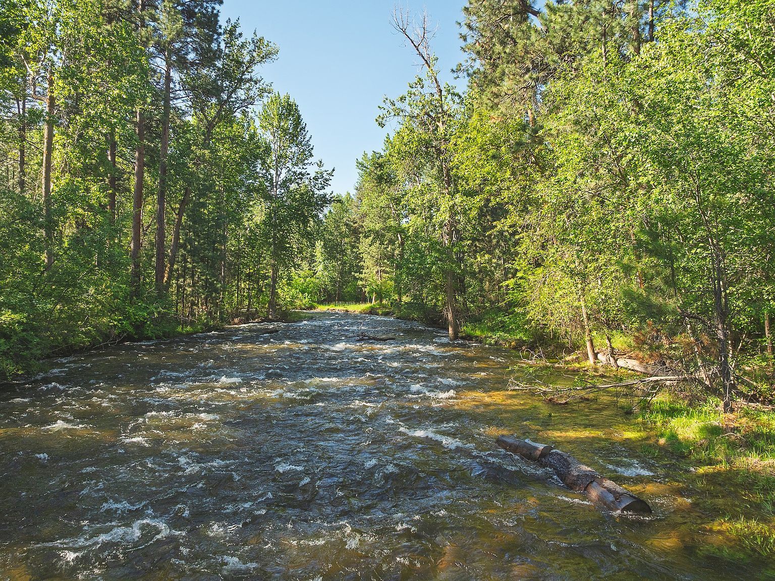 2606 Sycamore St Missoula, MT 59802 | Single Family