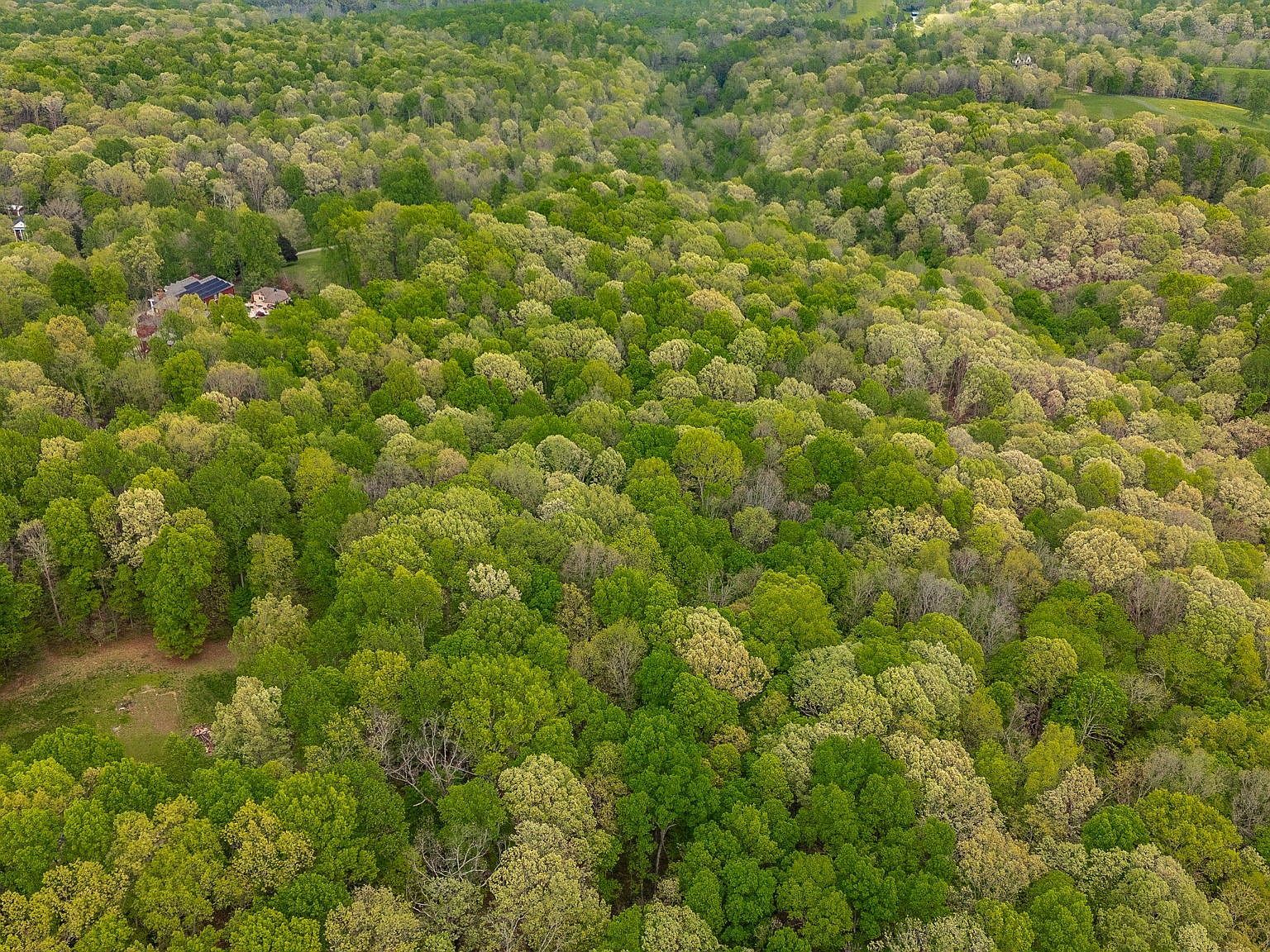 150C Dogwood Springs Dr Portland, TN 37148  | Single Family