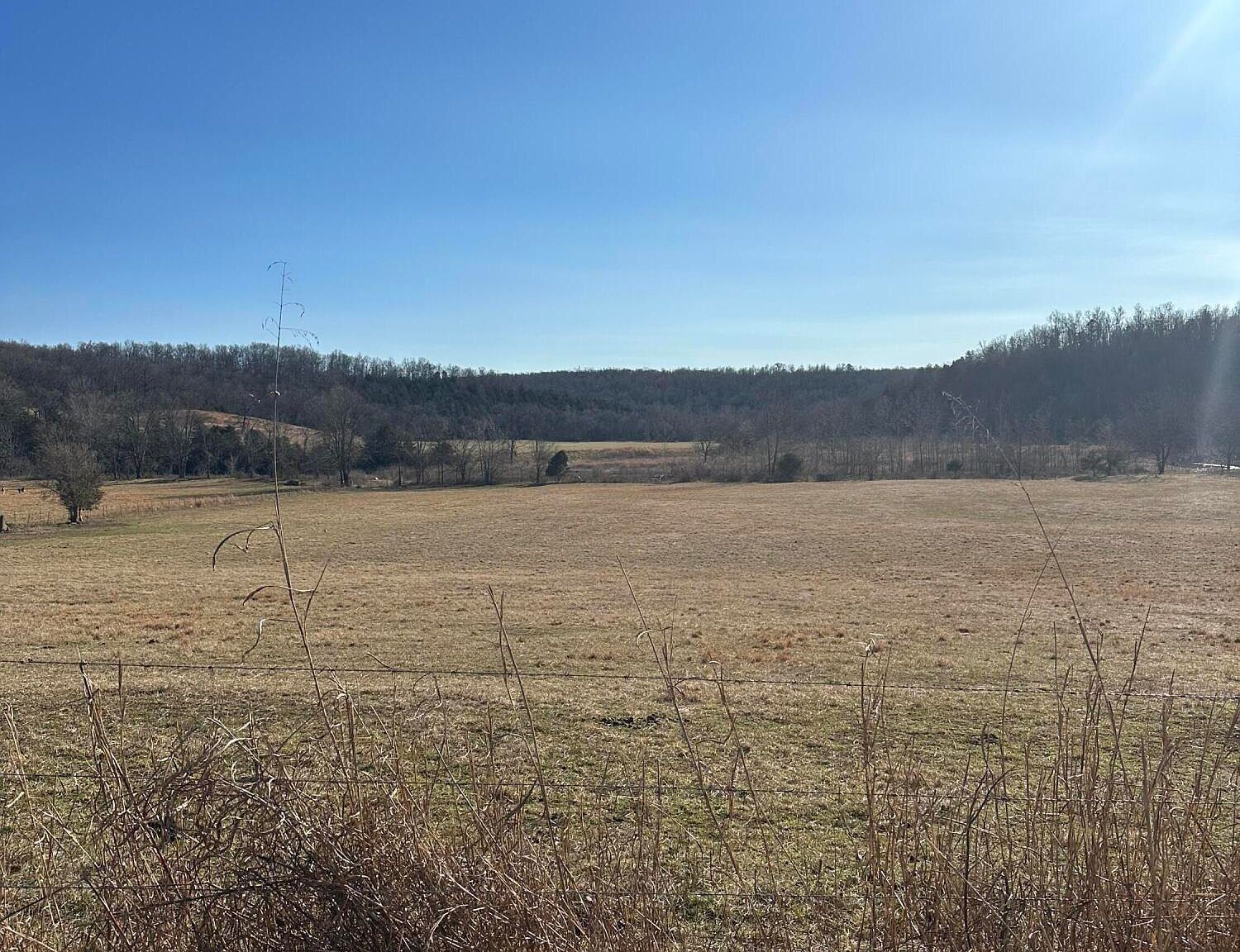 0 County Road 551 Bakersfield, MO 65609  | Land/Lot