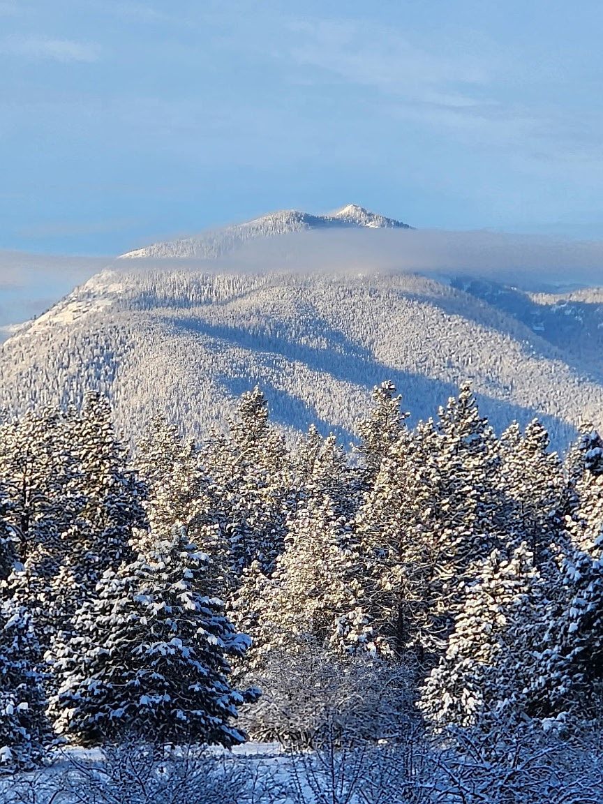 286 Edgewater Dr Libby, MT 59923 | Single Family