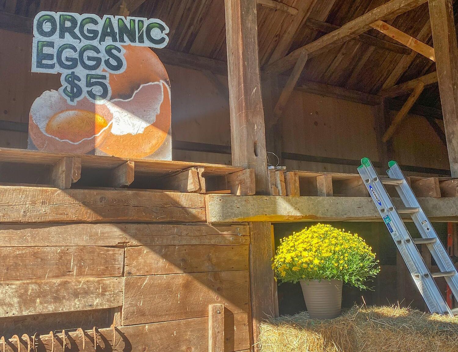 30 Graffam Rd West Baldwin, ME 04091  | Single Family