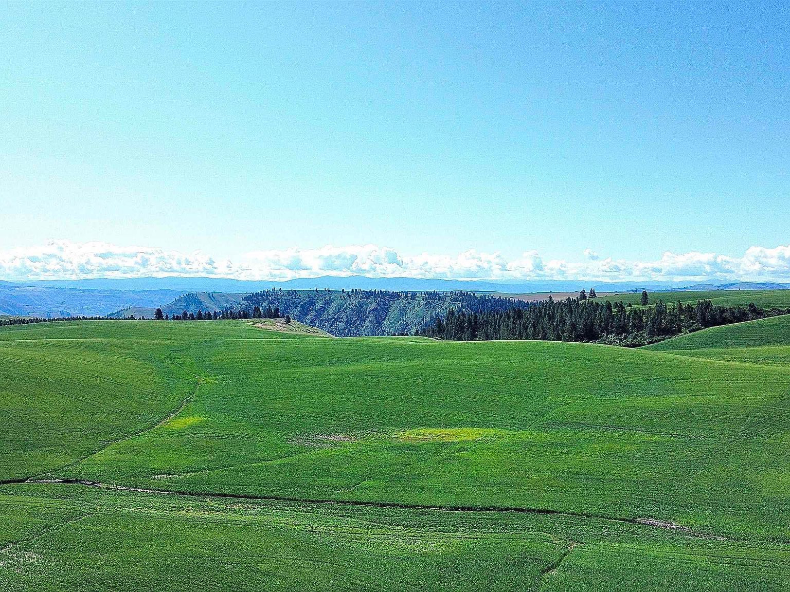 Basket Rd PARCEL 1 Nezperce, ID 83543 | Land/Lot