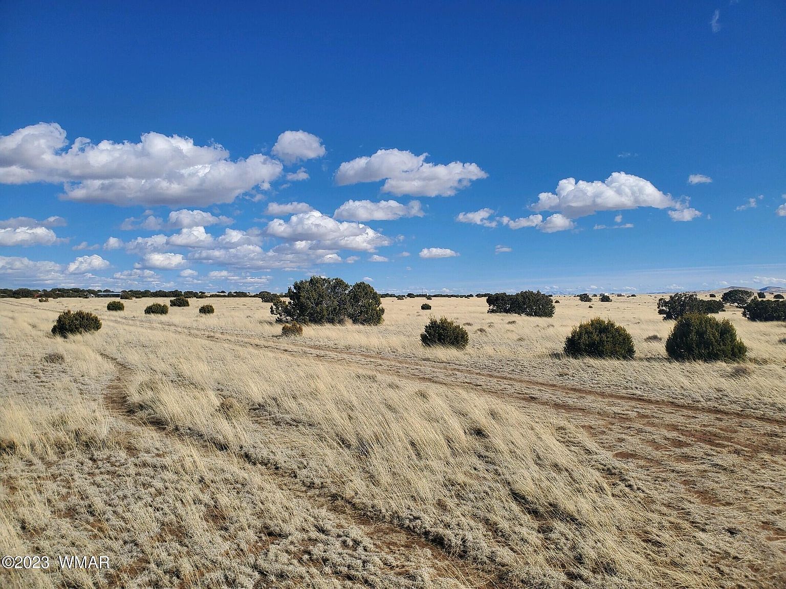 County Road 5074 Concho, AZ 85924  | Land/Lot