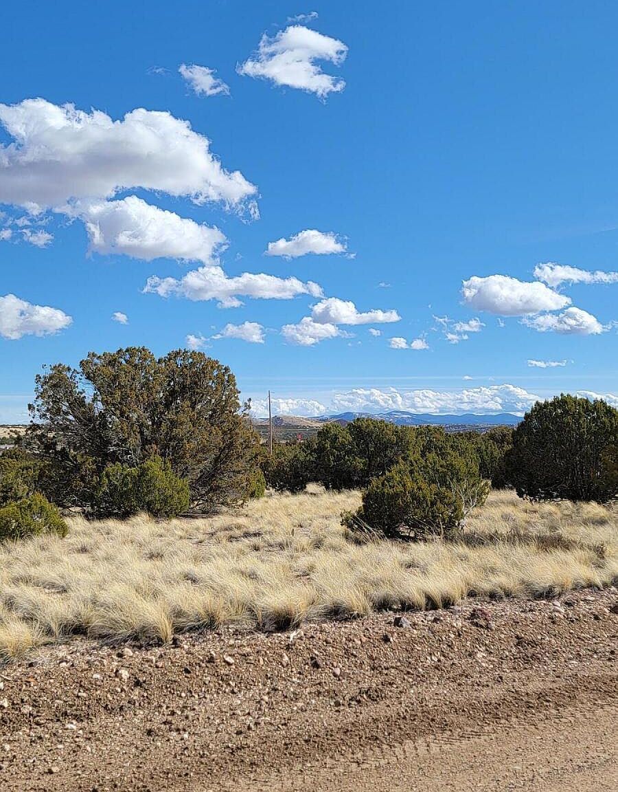 56 County Road 5066 Concho, AZ 85924  | Land/Lot