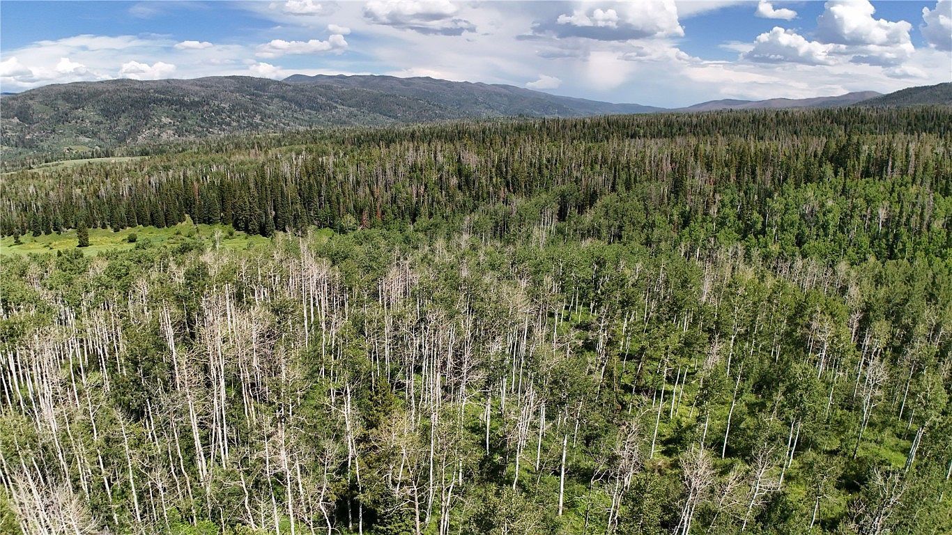 LOT 23 Gallop Trl Oak Creek, CO 80467 | Land/Lot