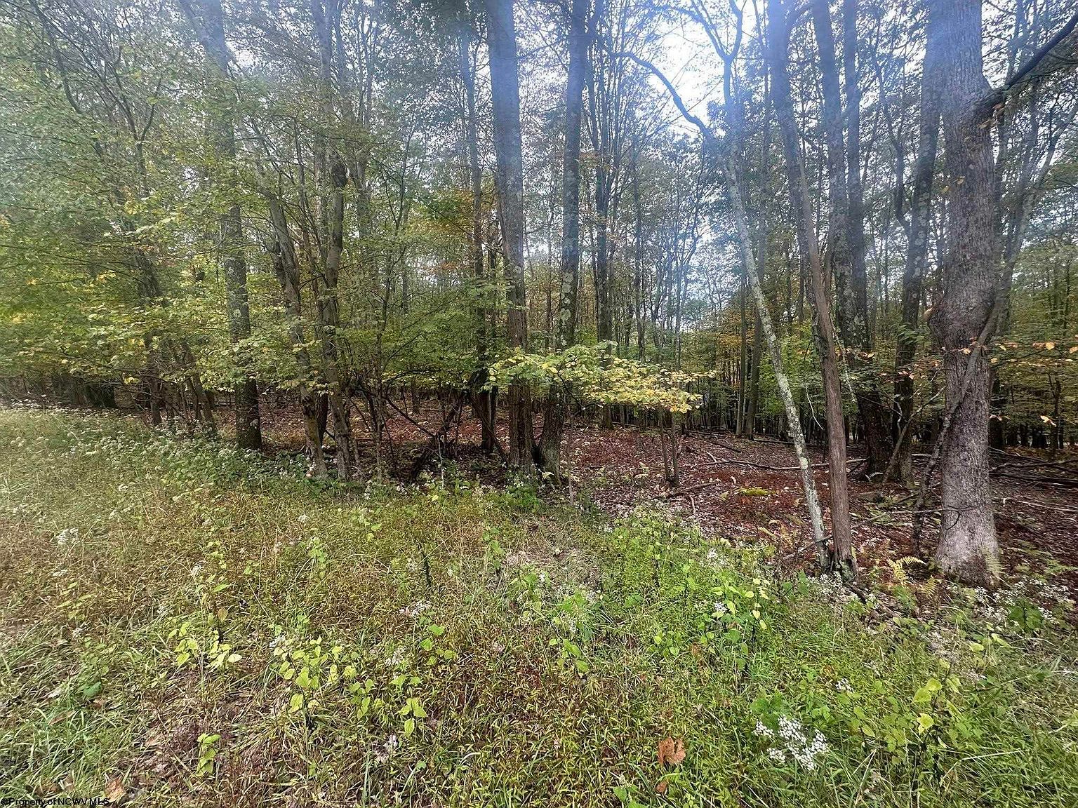 Lots 27 & 28 Alpine Dr Terra Alta, WV 26764  | Land/Lot