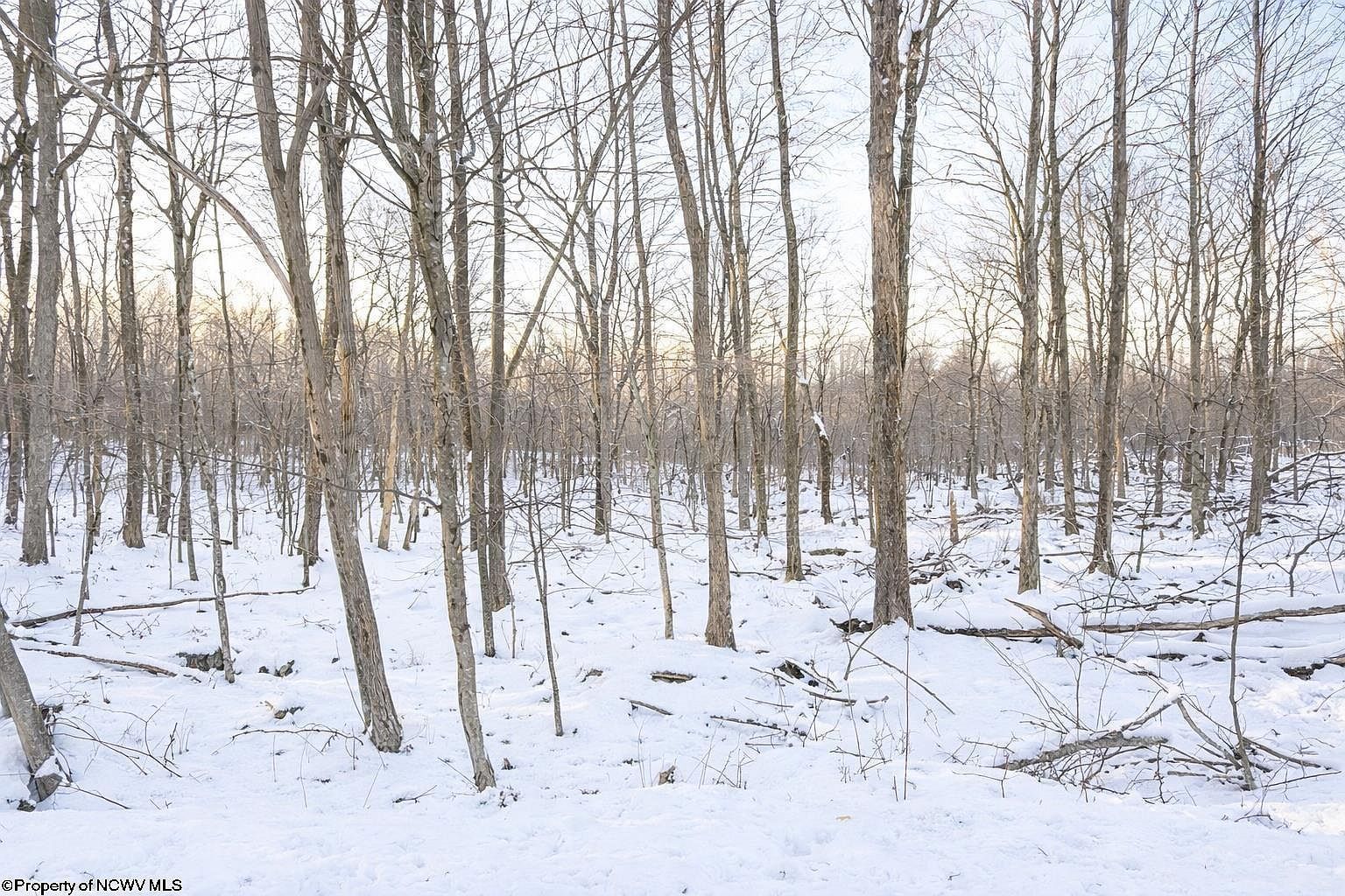 Columbine Cir Terra Alta, WV 26764  | Land/Lot