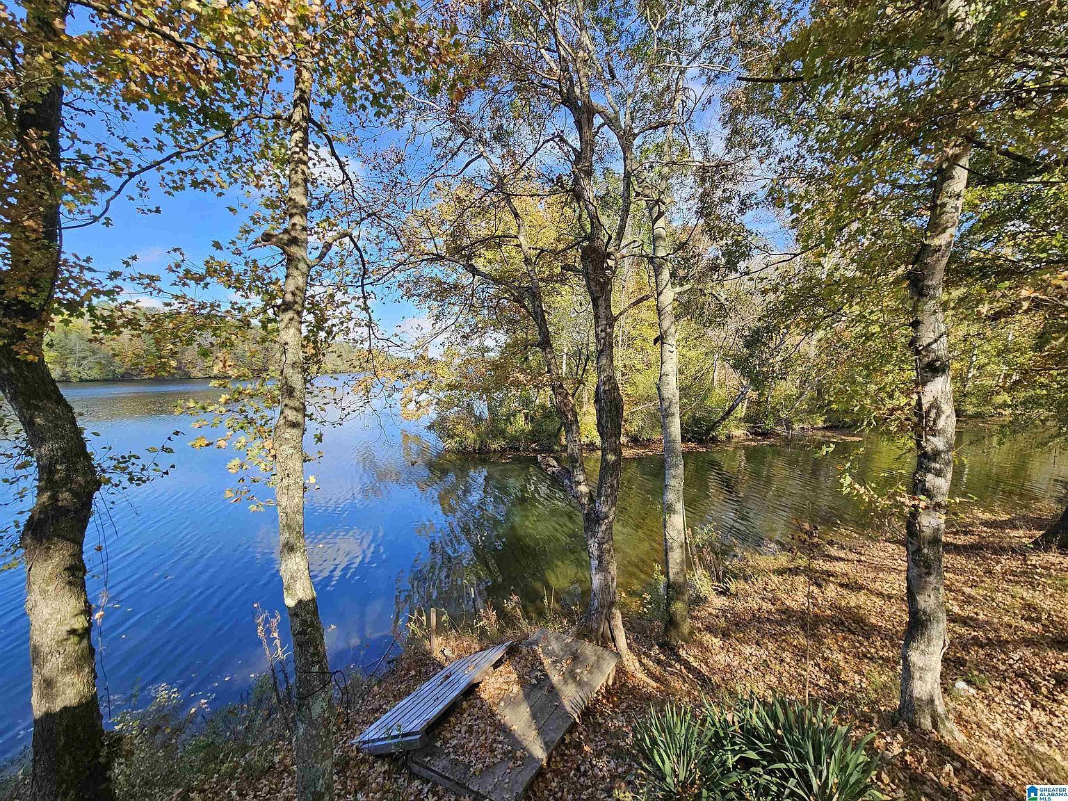 14536 Plant Rd #28 Alpine, AL 35014  | Land/Lot