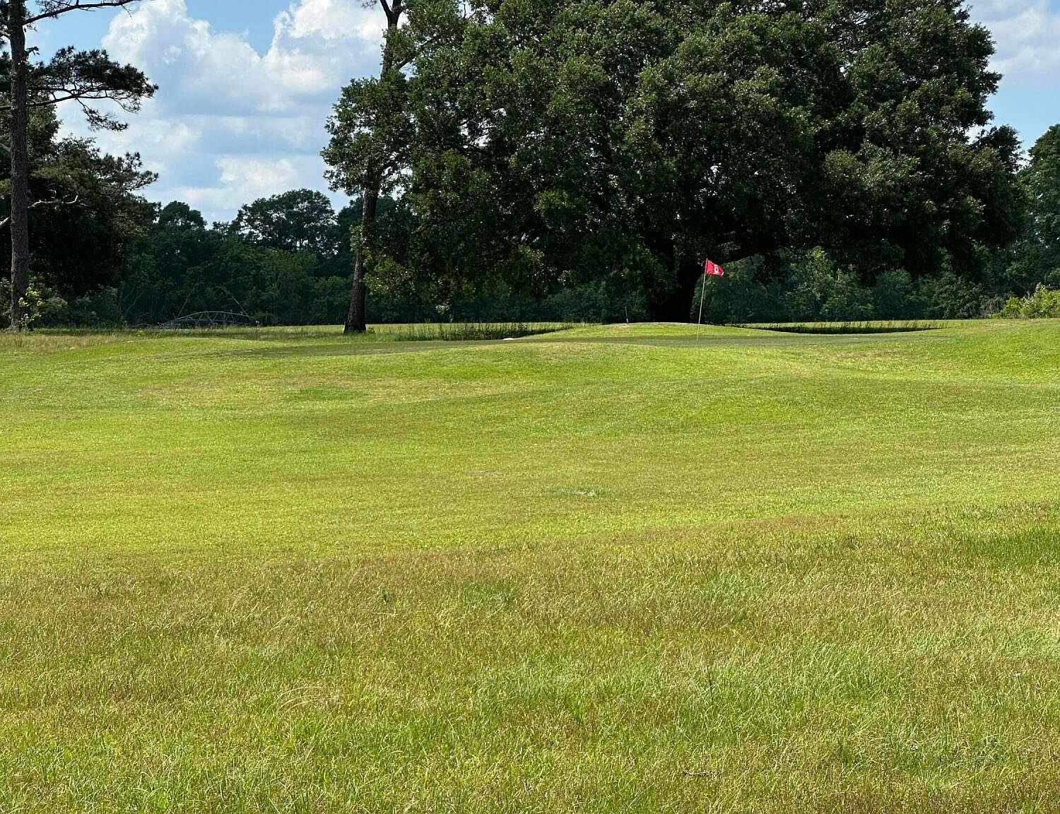 0 Bisbee Dr Lumberton, MS 39455  | Land/Lot