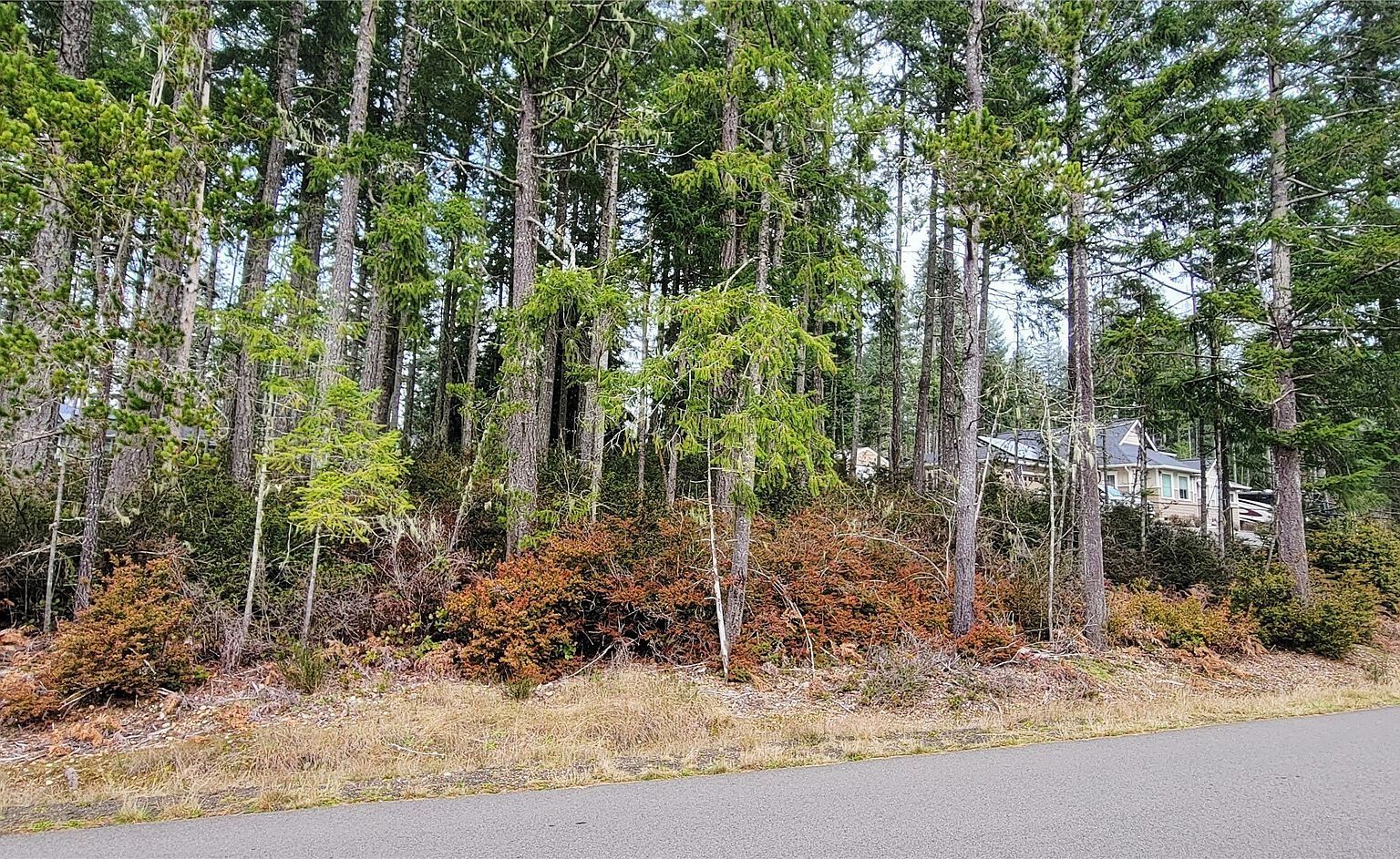 350 E Vine Maple Ln Union, WA 98592  | Land/Lot